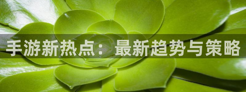 星欧娱乐升级5994月：手游新热点：最新趋势与策略