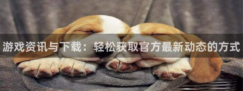 星欧娱乐官网：游戏资讯与下载：轻松获取官方最新动态的方式