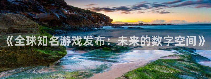 星欧娱乐官网登录：《全球知名游戏发布：未来的数字空间》