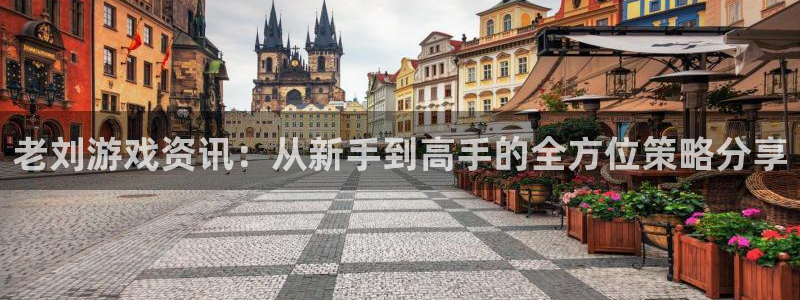 星欧娱乐平台官网登录：老刘游戏资讯：从新手到高手的全方位策略