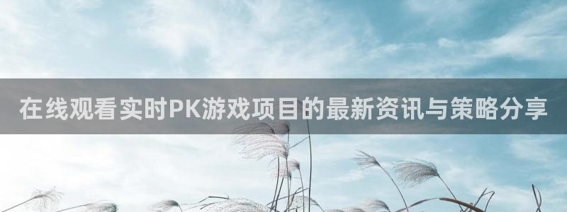 星欧娱乐娱乐：在线观看实时PK游戏项目的最新资讯与策略分享