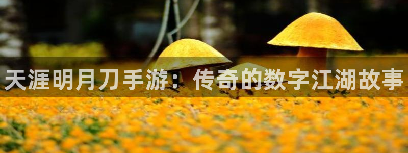 沐春星欧娱乐：天涯明月刀手游：传奇的数字江湖故事