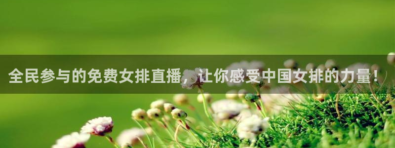jrs小九篮球直播：全民参与的免费女排直播，让你感受中国女排的力量！