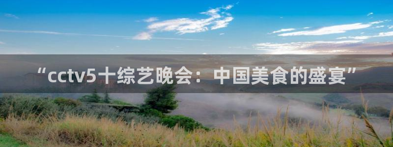 小九nba直播高清免费观看：“cctv5十综艺晚会：中国美食的盛宴”