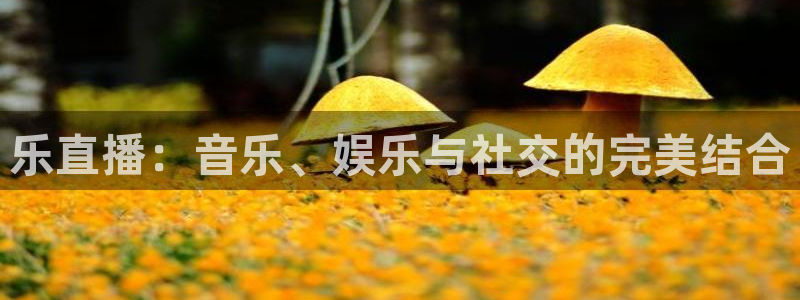小九直播体育直播平台：乐直播：音乐、娱乐与社交的完美结合