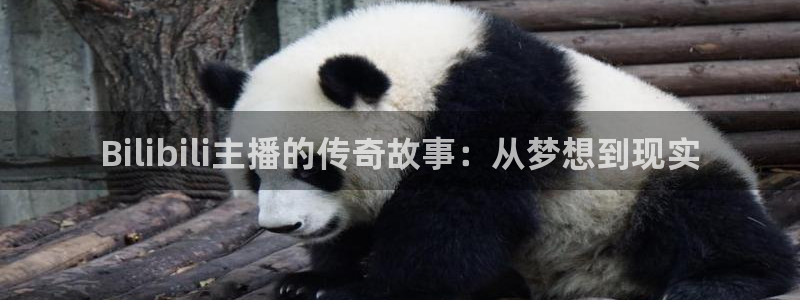 小九直播官网：Bilibili主播的传奇故事：从梦想到现实