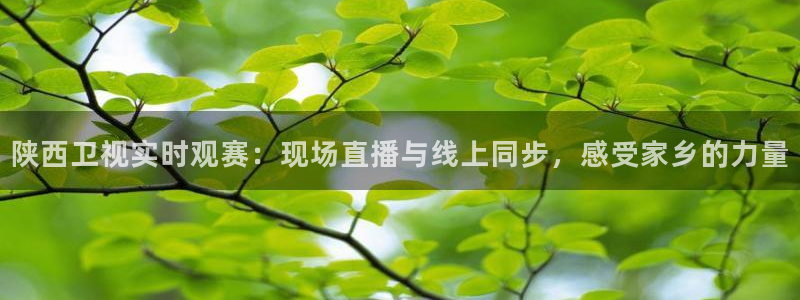 免费nba小九比赛直播高清：陕西卫视实时观赛：现场直播与线上同步，感受家乡的力量