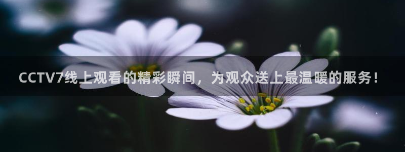 小九直播亚洲世预赛：CCTV7线上观看的精彩瞬间，为观众送上最温暖的服务！