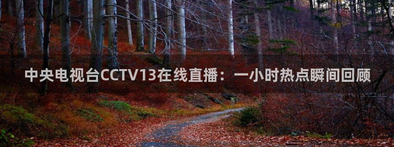 jrs小九篮球直播：中央电视台CCTV13在线直播：一小时热点瞬间回顾