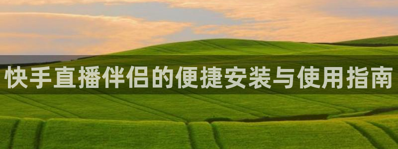 小九直播足球在线直播：快手直播伴侣的便捷安装与使用指南